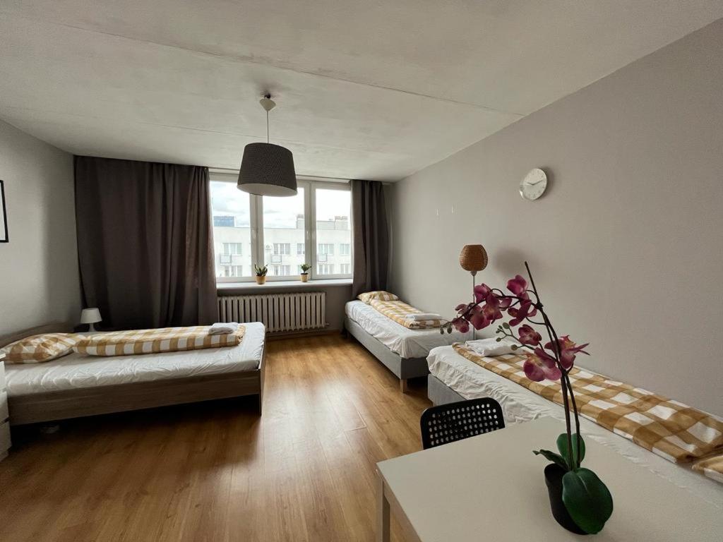 Labo Apartment Niska By Old Town Warschau Exterior foto